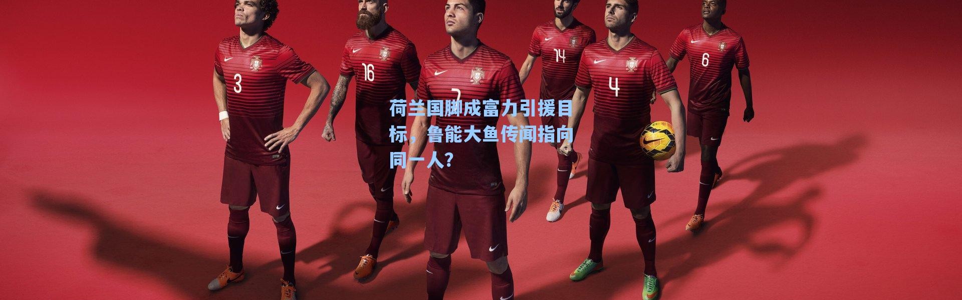【海星体育在线观看】荷兰国脚成富力引援目标，鲁能大鱼传闻指向同一人？