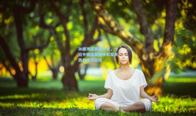 海星体育：孙继海谈赛场争议，今日中国体育精神彰显民族自信与团结