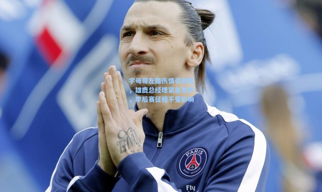 【海星体育app】字母哥左膝伤情引担忧，雄鹿总经理紧急发声，季后赛征程不受影响