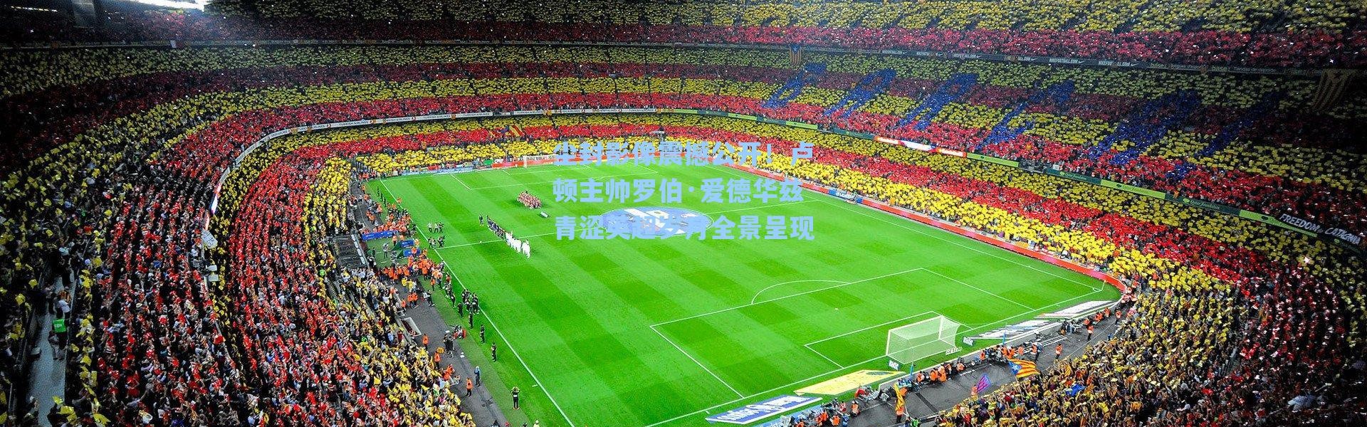 海星体育app-尘封影像震撼公开！卢顿主帅罗伯·爱德华兹青涩英超岁月全景呈现