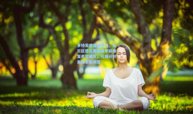 海星体育直播|多特蒙德遭遇重创，鲁尔区德比英雄詹季前康复希望破灭，引援计划面临全面调整