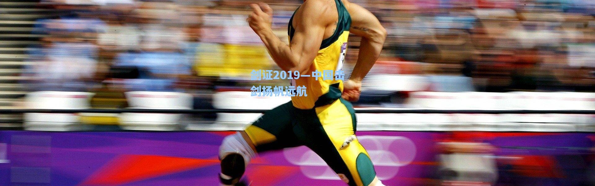 海星体育在线观看|剑证2019—中国击剑扬帆远航