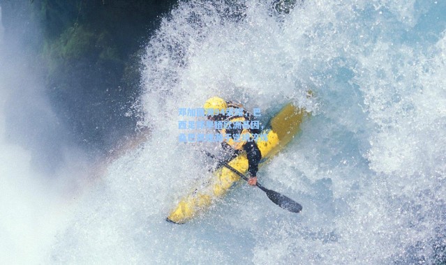 海星体育在线观看|邓加回溯94荣耀，巴西足球早植欧洲基因，桑巴灵魂源于逆境淬炼