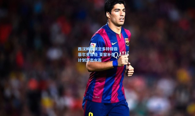 【海星体育】西汉姆联锁定多特锋霸菲尔克鲁格 夏窗补强计划浮出水面