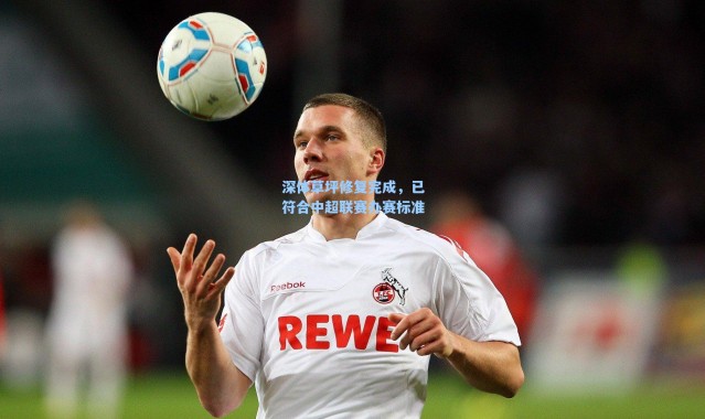 海星体育|深体草坪修复完成，已符合中超联赛办赛标准