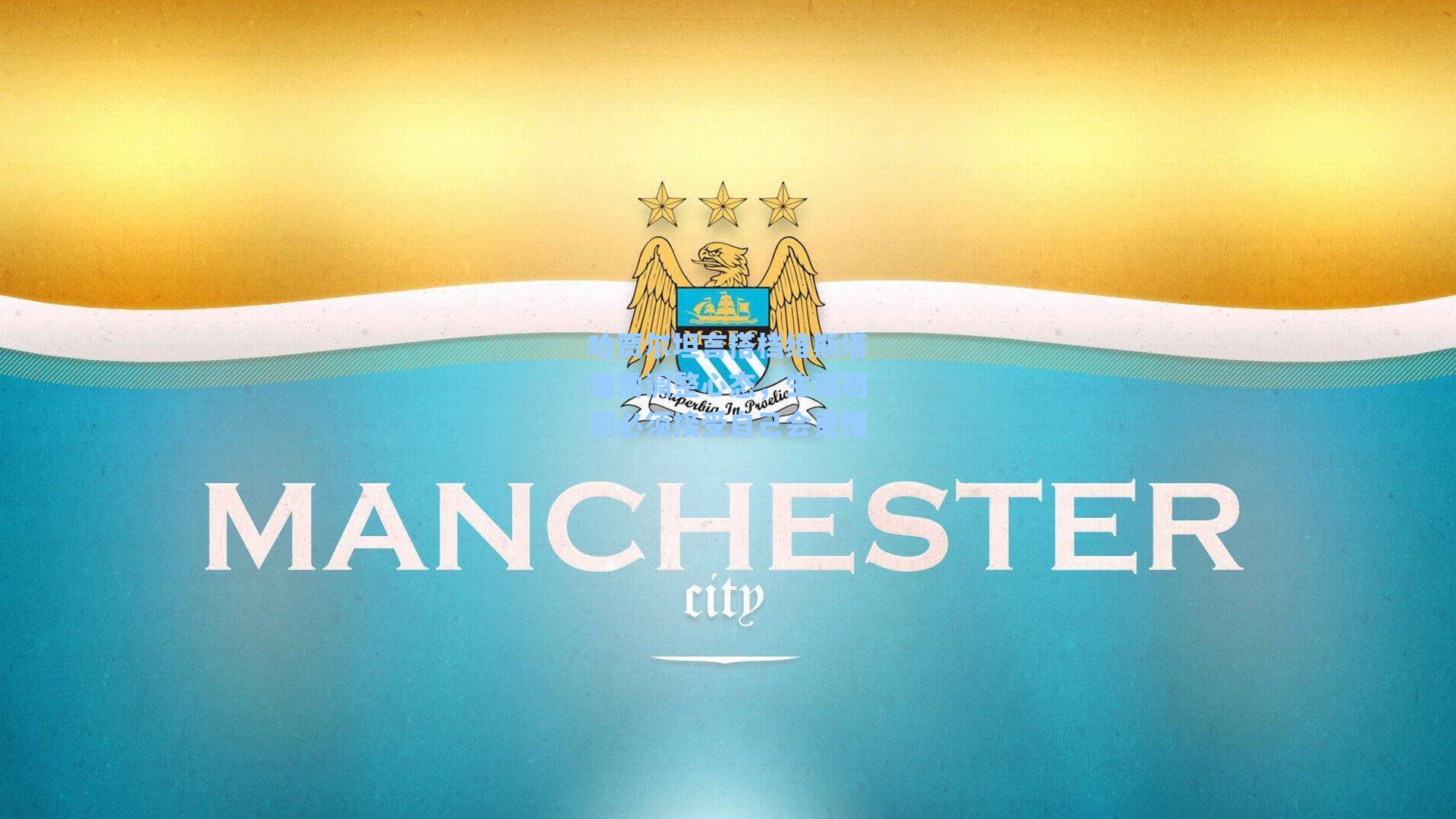 哈贾尔坦言搭档维斯塔潘需调整心态，生涯初期必须接受自己会更慢